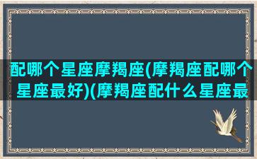 配哪个星座摩羯座(摩羯座配哪个星座最好)(摩羯座配什么星座最好)