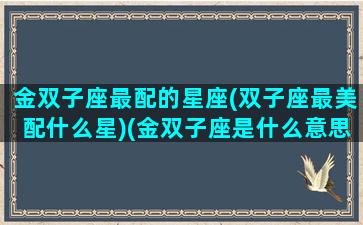 金双子座最配的星座(双子座最美配什么星)(金双子座是什么意思)