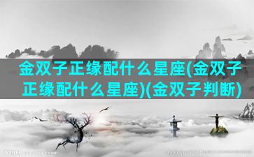 金双子正缘配什么星座(金双子正缘配什么星座)(金双子判断)