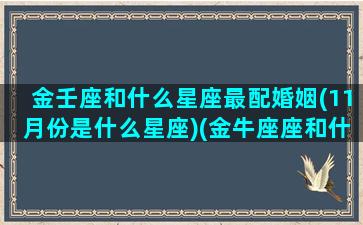 金壬座和什么星座最配婚姻(11月份是什么星座)(金牛座座和什么星座最配对)