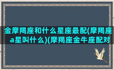 金摩羯座和什么星座最配(摩羯座a星叫什么)(摩羯座金牛座配对指数)