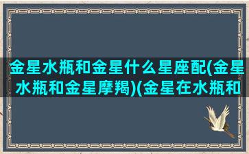 金星水瓶和金星什么星座配(金星水瓶和金星摩羯)(金星在水瓶和金星在摩羯的合适吗)