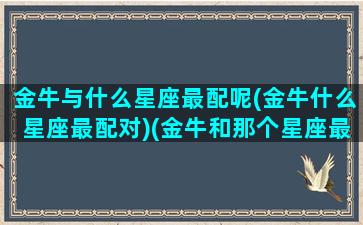 金牛与什么星座最配呢(金牛什么星座最配对)(金牛和那个星座最般配)