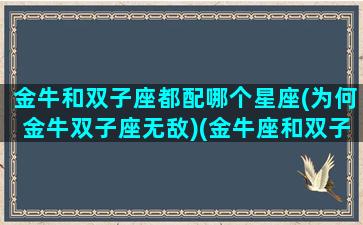 金牛和双子座都配哪个星座(为何金牛双子座无敌)(金牛座和双子适合什么关系)