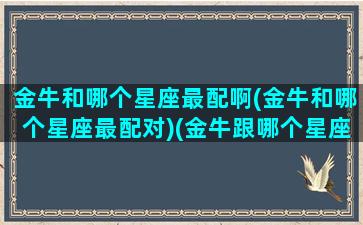 金牛和哪个星座最配啊(金牛和哪个星座最配对)(金牛跟哪个星座配)