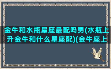 金牛和水瓶星座最配吗男(水瓶上升金牛和什么星座配)(金牛座上升水瓶座男生)