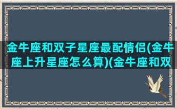 金牛座和双子星座最配情侣(金牛座上升星座怎么算)(金牛座和双子配对指数)