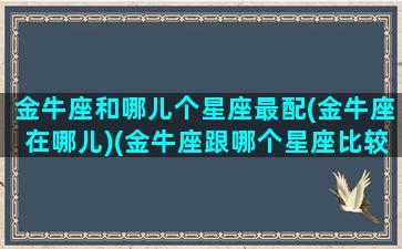 金牛座和哪儿个星座最配(金牛座在哪儿)(金牛座跟哪个星座比较配)