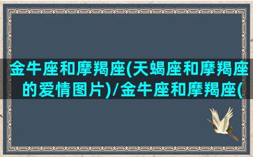 金牛座和摩羯座(天蝎座和摩羯座的爱情图片)/金牛座和摩羯座(天蝎座和摩羯座的爱情图片)-我的网站