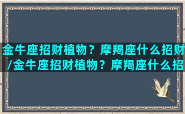 金牛座招财植物？摩羯座什么招财/金牛座招财植物？摩羯座什么招财-我的网站