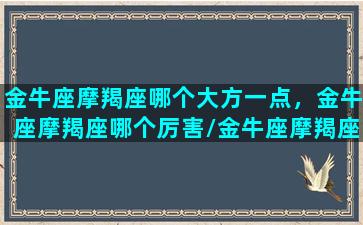 金牛座摩羯座哪个大方一点，金牛座摩羯座哪个厉害/金牛座摩羯座哪个大方一点，金牛座摩羯座哪个厉害-我的网站