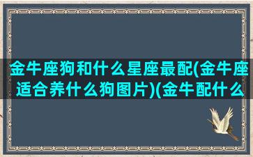 金牛座狗和什么星座最配(金牛座适合养什么狗图片)(金牛配什么星座最好的)