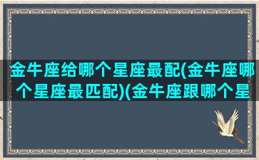 金牛座给哪个星座最配(金牛座哪个星座最匹配)(金牛座跟哪个星座最匹配)