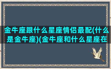 金牛座跟什么星座情侣最配(什么是金牛座)(金牛座和什么星座在一起最幸福)