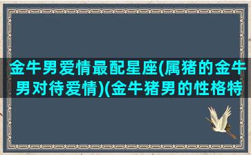 金牛男爱情最配星座(属猪的金牛男对待爱情)(金牛猪男的性格特点)