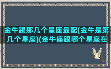 金牛跟那几个星座最配(金牛是第几个星座)(金牛座跟哪个星座在一起最合适)