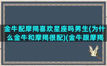 金牛配摩羯喜欢星座吗男生(为什么金牛和摩羯很配)(金牛跟摩羯合得来吗)