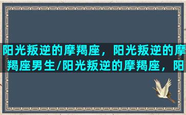 阳光叛逆的摩羯座，阳光叛逆的摩羯座男生/阳光叛逆的摩羯座，阳光叛逆的摩羯座男生-我的网站