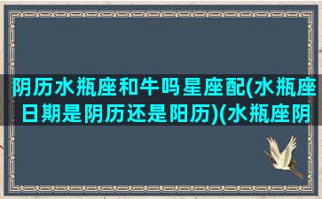 阴历水瓶座和牛吗星座配(水瓶座日期是阴历还是阳历)(水瓶座阴历是什么座)