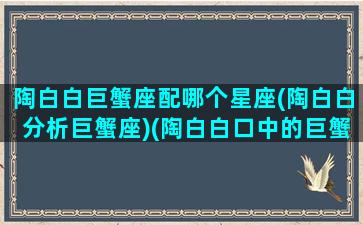 陶白白巨蟹座配哪个星座(陶白白分析巨蟹座)(陶白白口中的巨蟹座)