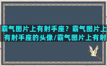 霸气图片上有射手座？霸气图片上有射手座的头像/霸气图片上有射手座？霸气图片上有射手座的头像-我的网站