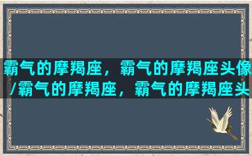 霸气的摩羯座，霸气的摩羯座头像/霸气的摩羯座，霸气的摩羯座头像-我的网站