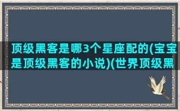 顶级黑客是哪3个星座配的(宝宝是顶级黑客的小说)(世界顶级黑客喊她)