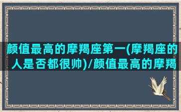 颜值最高的摩羯座第一(摩羯座的人是否都很帅)/颜值最高的摩羯座第一(摩羯座的人是否都很帅)-我的网站