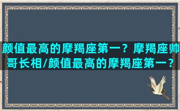 颜值最高的摩羯座第一？摩羯座帅哥长相/颜值最高的摩羯座第一？摩羯座帅哥长相-我的网站