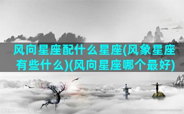 风向星座配什么星座(风象星座有些什么)(风向星座哪个最好)