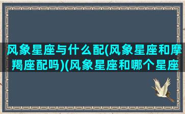 风象星座与什么配(风象星座和摩羯座配吗)(风象星座和哪个星座合适)