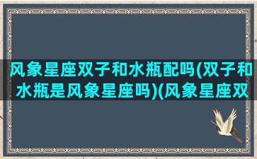 风象星座双子和水瓶配吗(双子和水瓶是风象星座吗)(风象星座双子座的性格)