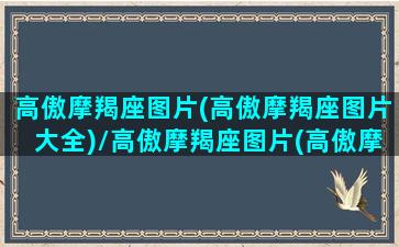 高傲摩羯座图片(高傲摩羯座图片大全)/高傲摩羯座图片(高傲摩羯座图片大全)-我的网站