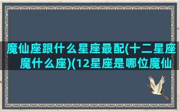 魔仙座跟什么星座最配(十二星座魔什么座)(12星座是哪位魔仙)