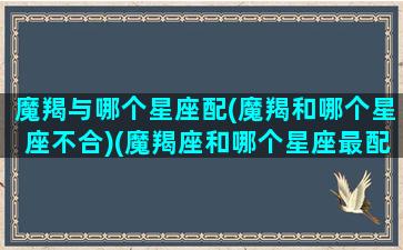 魔羯与哪个星座配(魔羯和哪个星座不合)(魔羯座和哪个星座最配)