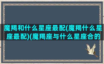 魔羯和什么星座最配(魔羯什么星座最配)(魔羯座与什么星座合的来)