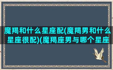 魔羯和什么星座配(魔羯男和什么星座很配)(魔羯座男与哪个星座配)