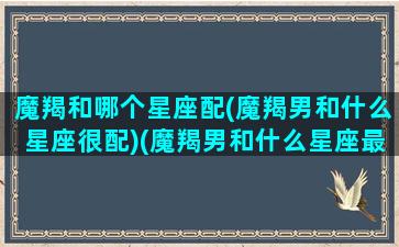 魔羯和哪个星座配(魔羯男和什么星座很配)(魔羯男和什么星座最配排行)