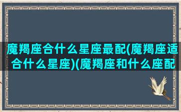 魔羯座合什么星座最配(魔羯座适合什么星座)(魔羯座和什么座配)