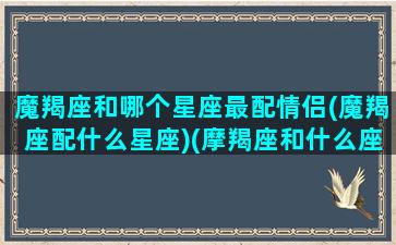 魔羯座和哪个星座最配情侣(魔羯座配什么星座)(摩羯座和什么座是最佳情侣)