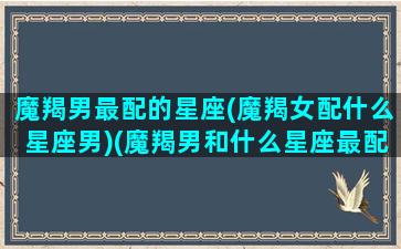 魔羯男最配的星座(魔羯女配什么星座男)(魔羯男和什么星座最配排行)