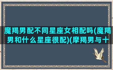 魔羯男配不同星座女相配吗(魔羯男和什么星座很配)(摩羯男与十二星座女配对指数)