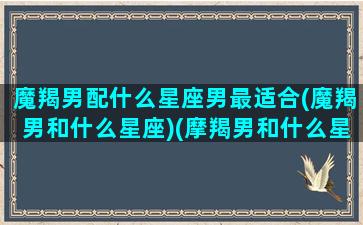 魔羯男配什么星座男最适合(魔羯男和什么星座)(摩羯男和什么星座最配)