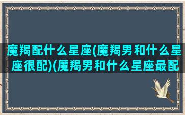 魔羯配什么星座(魔羯男和什么星座很配)(魔羯男和什么星座最配排行)