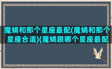 魔蝎和那个星座最配(魔蝎和那个星座合适)(魔蝎跟哪个星座最配)