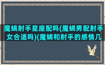 魔蝎射手星座配吗(魔蝎男配射手女合适吗)(魔蝎和射手的感情几率是多少)