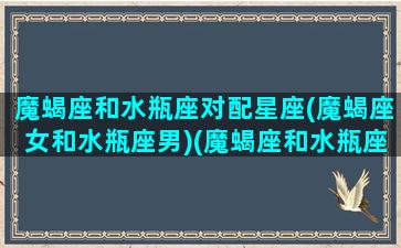 魔蝎座和水瓶座对配星座(魔蝎座女和水瓶座男)(魔蝎座和水瓶座匹配度)