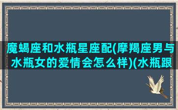 魔蝎座和水瓶星座配(摩羯座男与水瓶女的爱情会怎么样)(水瓶跟魔蝎男在一起)