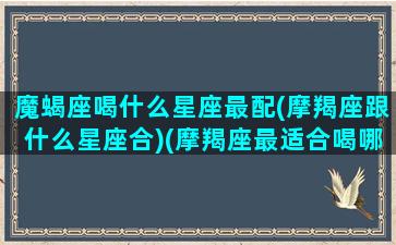 魔蝎座喝什么星座最配(摩羯座跟什么星座合)(摩羯座最适合喝哪个)