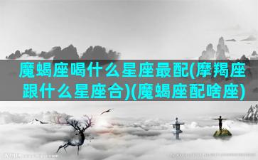 魔蝎座喝什么星座最配(摩羯座跟什么星座合)(魔蝎座配啥座)